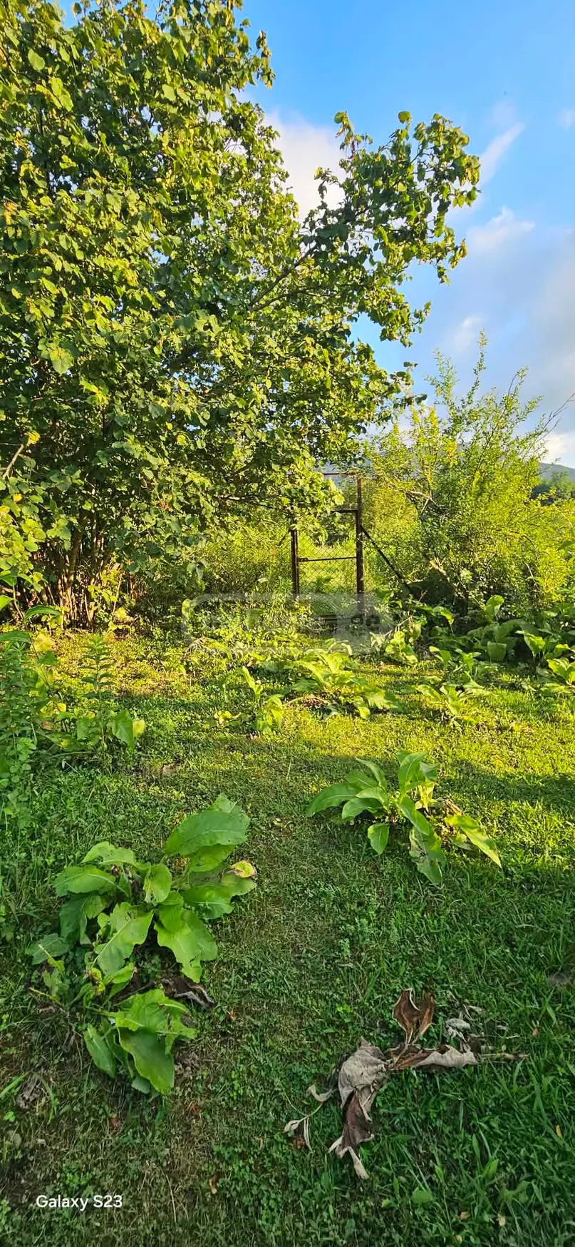 For Sale Ara Sasoplo-Sameurneo Land Plot Baghdatshi view 9