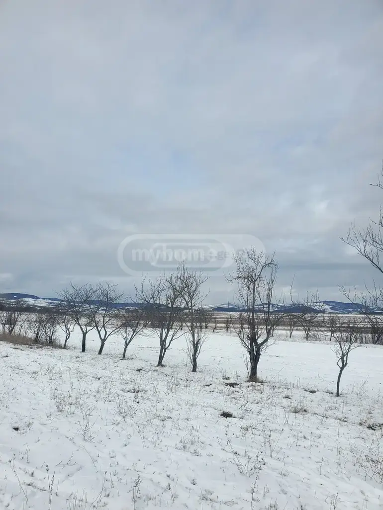 For Sale Sasoplo-Sameurneo Land Plot Dushetis Munitsipalitetshi view 6