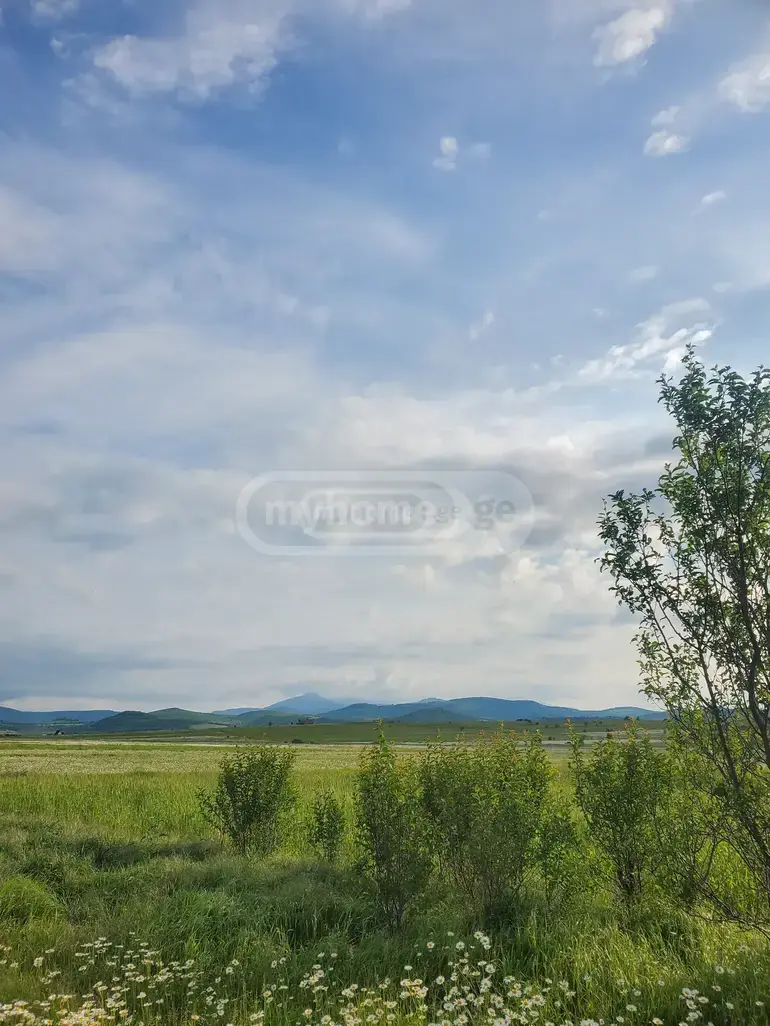 For Sale Sasoplo-Sameurneo Land Plot Dushetis Munitsipalitetshi view 7