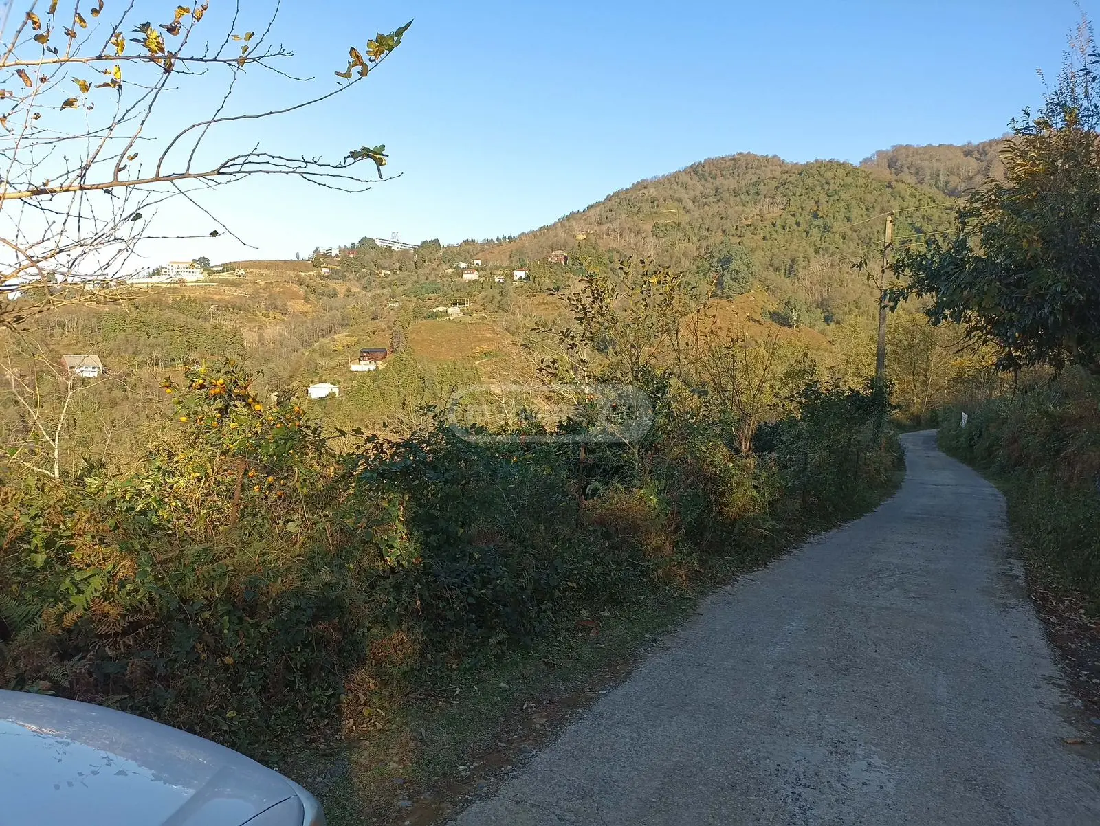 For Sale Sasoplo-Sameurneo Land Plot In Batumi view 9