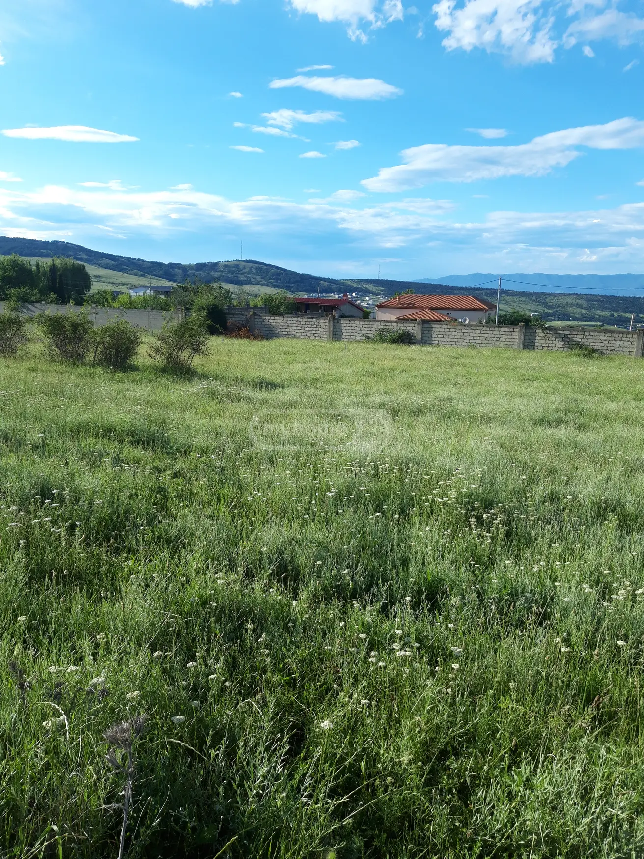 For Sale Sasoplo-Sameurneo Land Plot Baghdatshi view 1