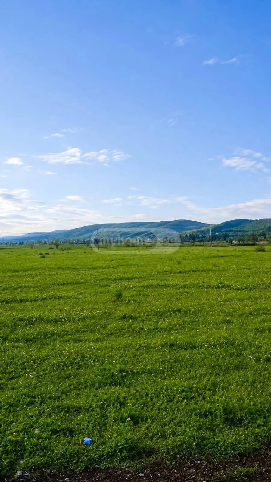 For Sale Sasoplo-Sameurneo Land Plot Gardabnis Munitsipalitetshi view 4