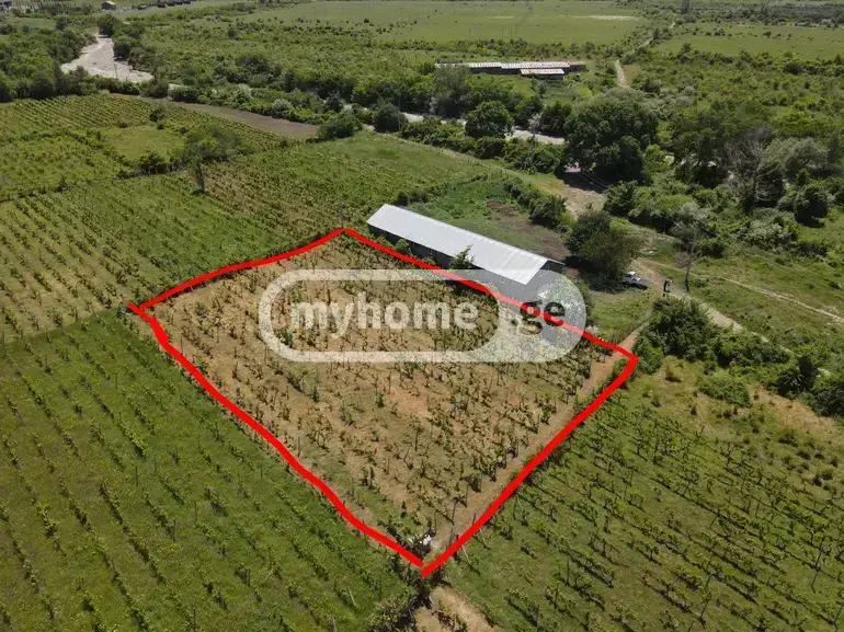 For Sale Sasoplo-Sameurneo Land Plot Mtskhetis Munitsipalitetshi view 6