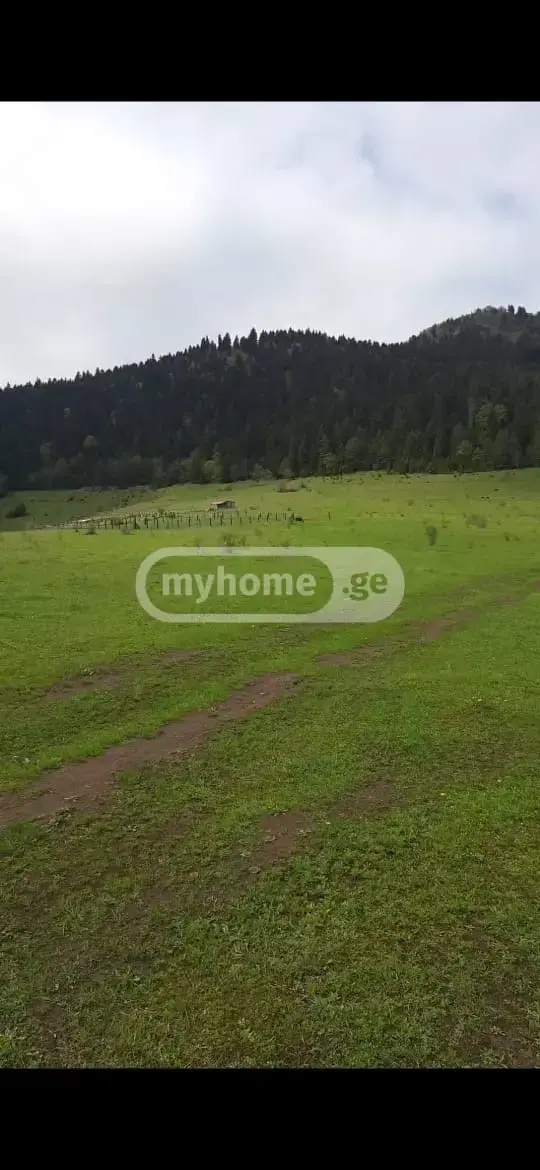 For Sale Sasoplo-Sameurneo Land Plot Borjomshi view 4
