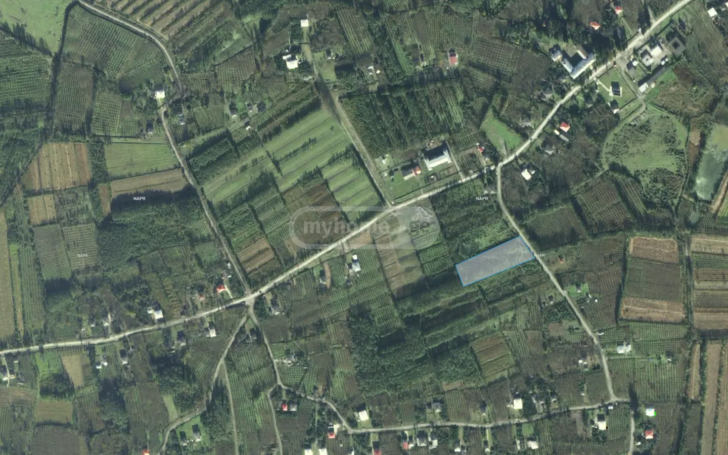 For Sale Sasoplo-Sameurneo Land Plot Zugdidis Munitsipalitetshi view 3