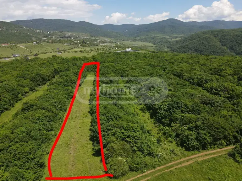 For Sale Sasoplo-Sameurneo Land Plot Mtskhetis Munitsipalitetshi view 5