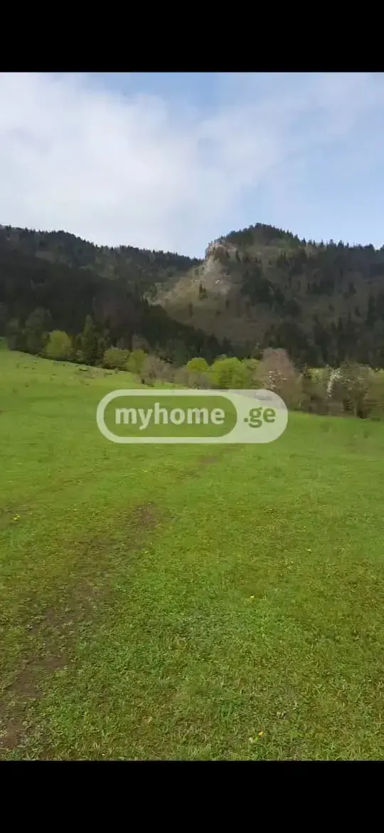 For Sale Sasoplo-Sameurneo Land Plot Borjomshi view 3