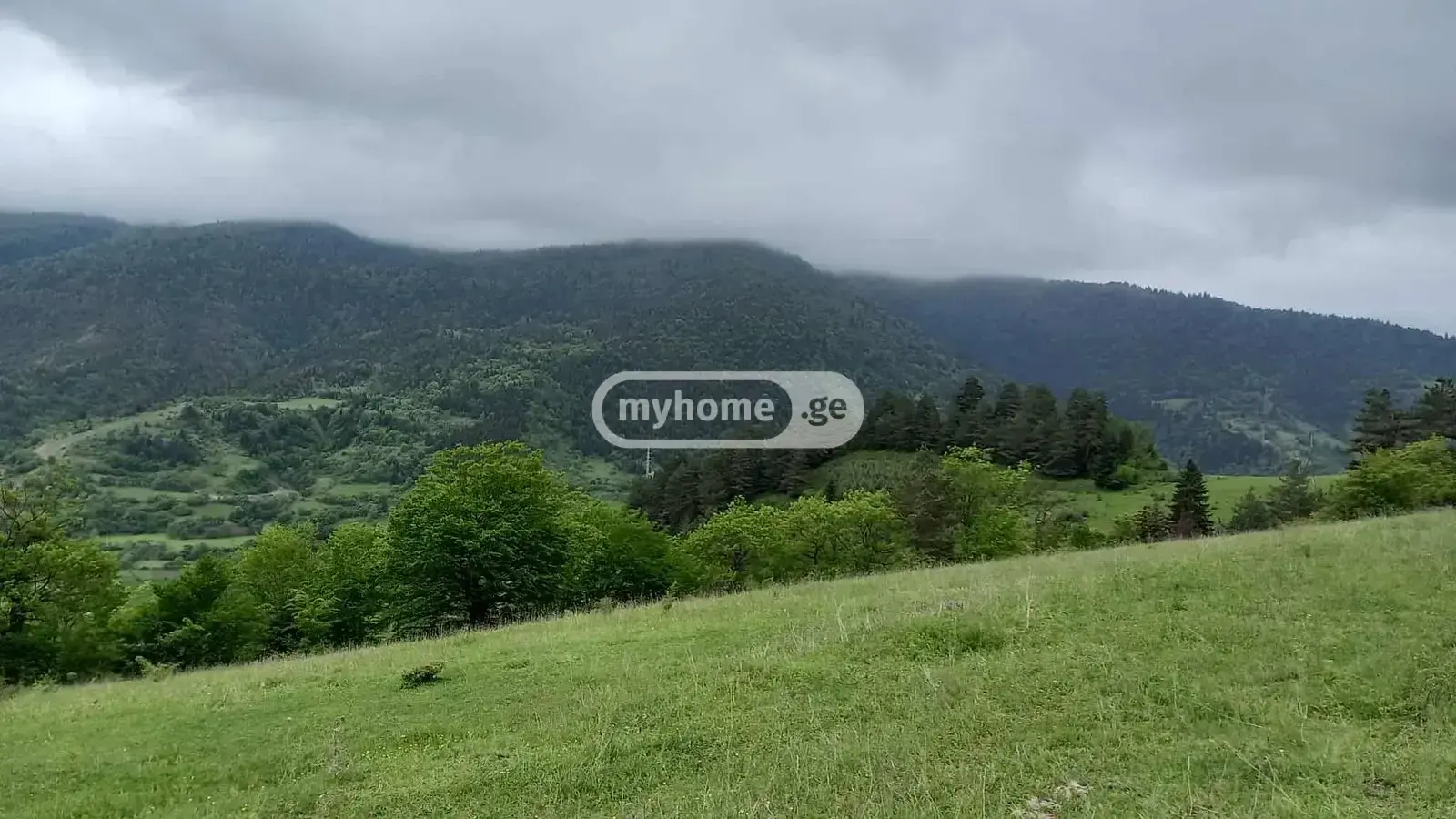For Sale Sasoplo-Sameurneo Land Plot Borjomshi view 5