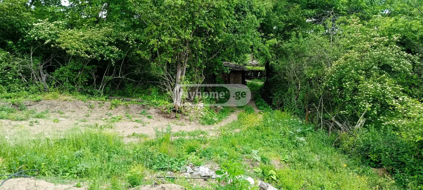 Продажа Земля / участок в Kaspis Munitsipalitetshi view 4