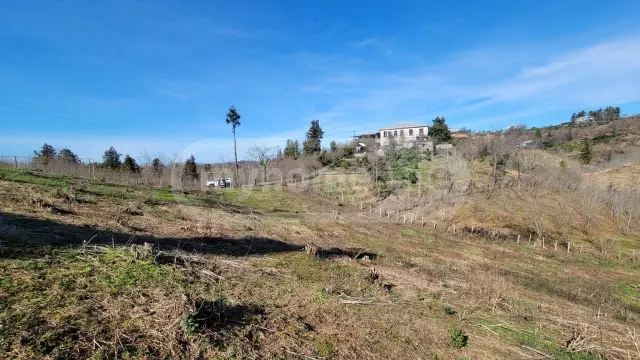 For Sale Sasoplo-Sameurneo Land Plot Kobuletis Munitsipalitetshi view 1