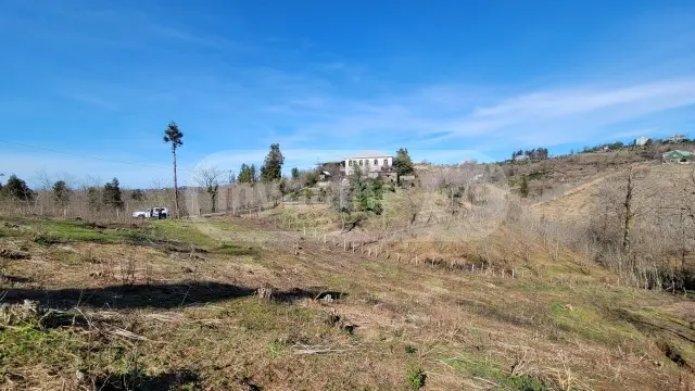 For Sale Sasoplo-Sameurneo Land Plot Kobuletis Munitsipalitetshi view 2