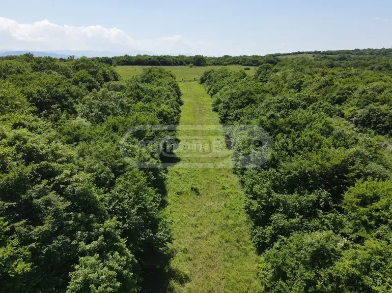 For Sale Sasoplo-Sameurneo Land Plot Mtskhetis Munitsipalitetshi view 9