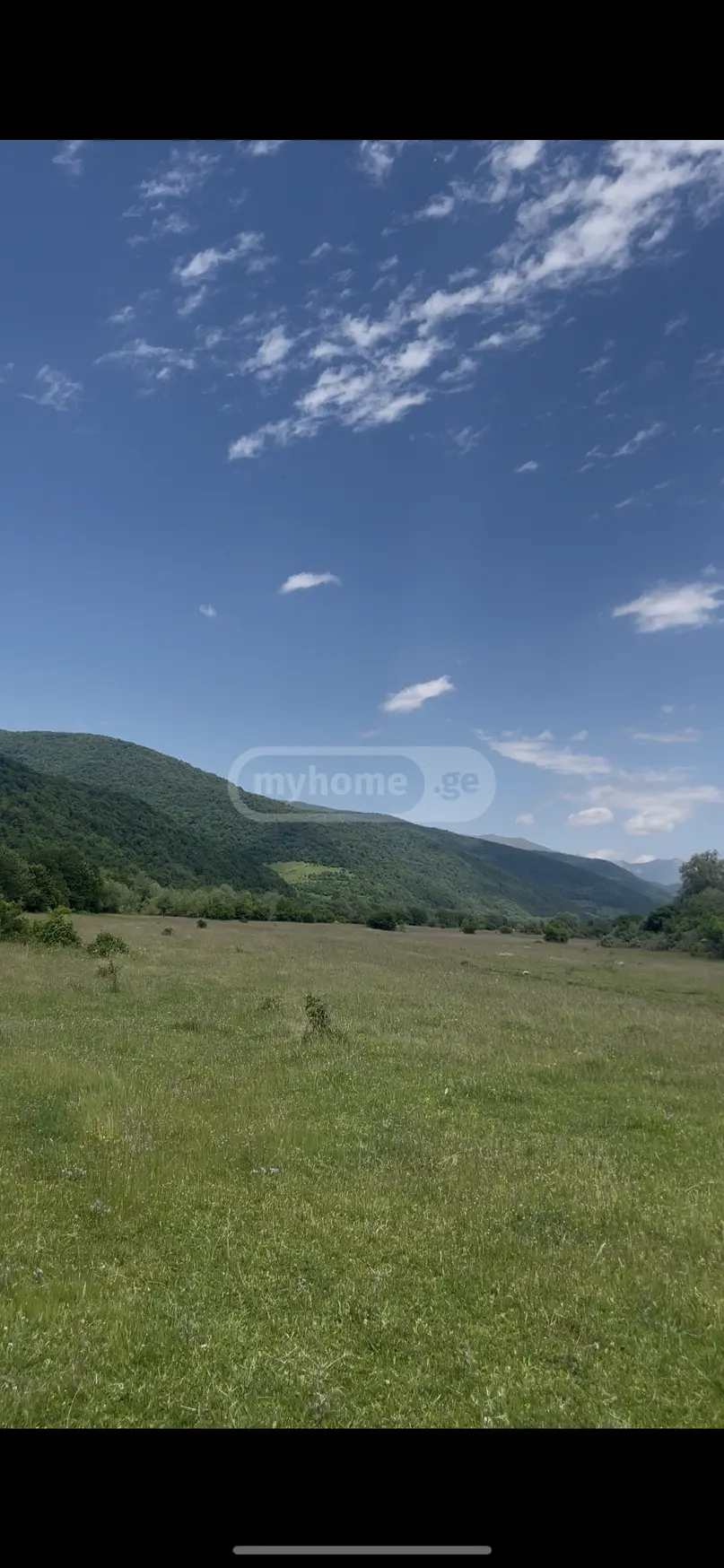 For Sale Sasoplo-Sameurneo Land Plot Tianetis Munitsipalitetshi view 1