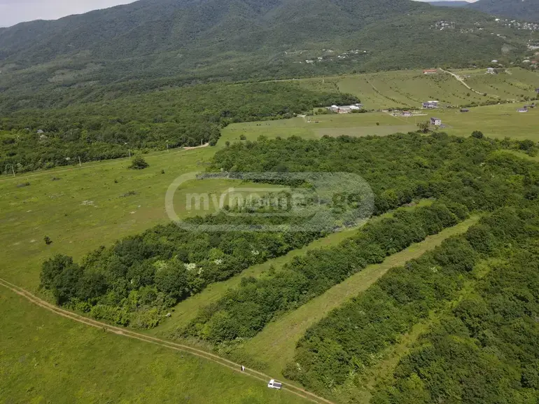 For Sale Sasoplo-Sameurneo Land Plot Mtskhetis Munitsipalitetshi view 14