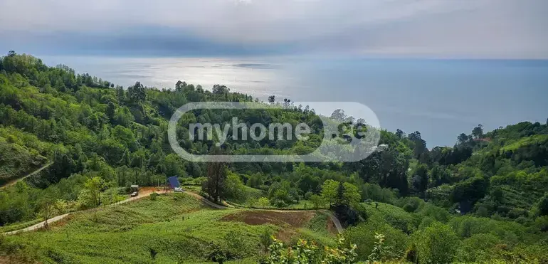 იყიდება მიწა / ნაკვეთი Khelvachauris Munitsipalitetshiში view 1