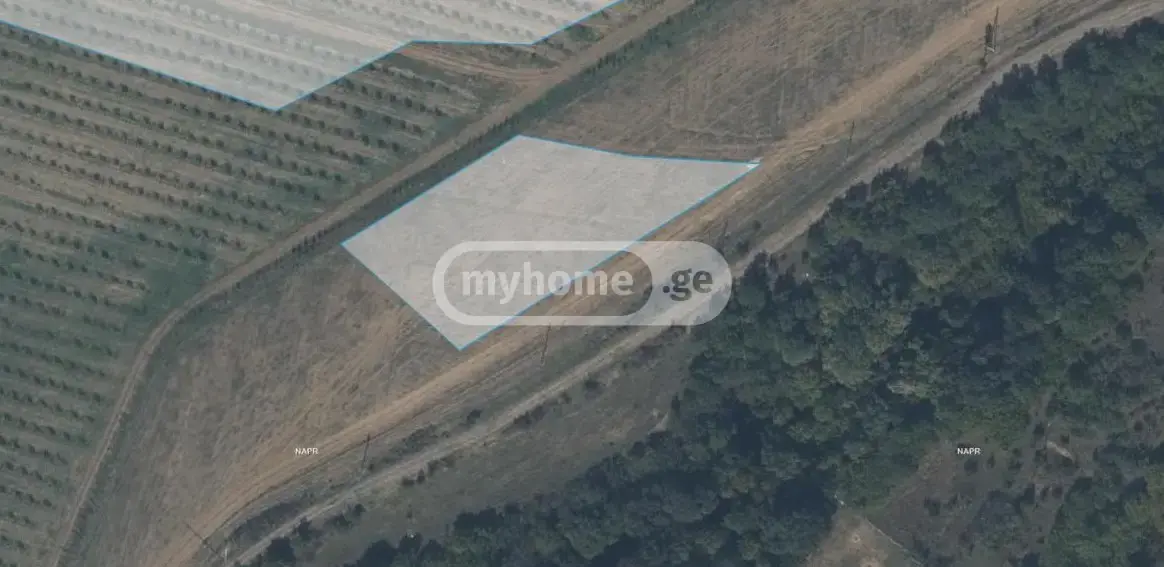 Продажа Земля / участок в Kaspshi view 2