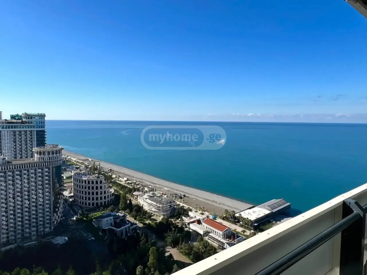1 Room Flat Daily Rent. Batumi view 5