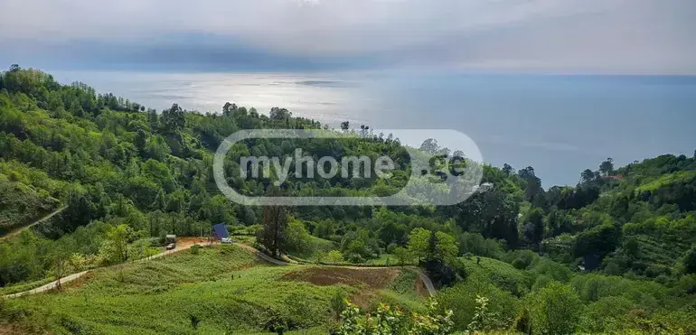 Продажа Земля / участок в Khelvachauris Munitsipalitetshi view 1