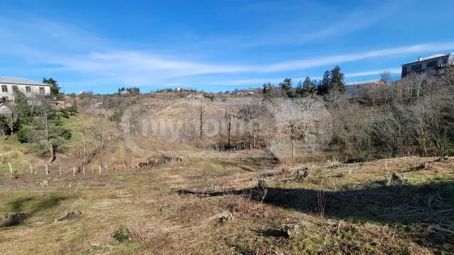 For Sale Sasoplo-Sameurneo Land Plot Kobuletis Munitsipalitetshi view 3