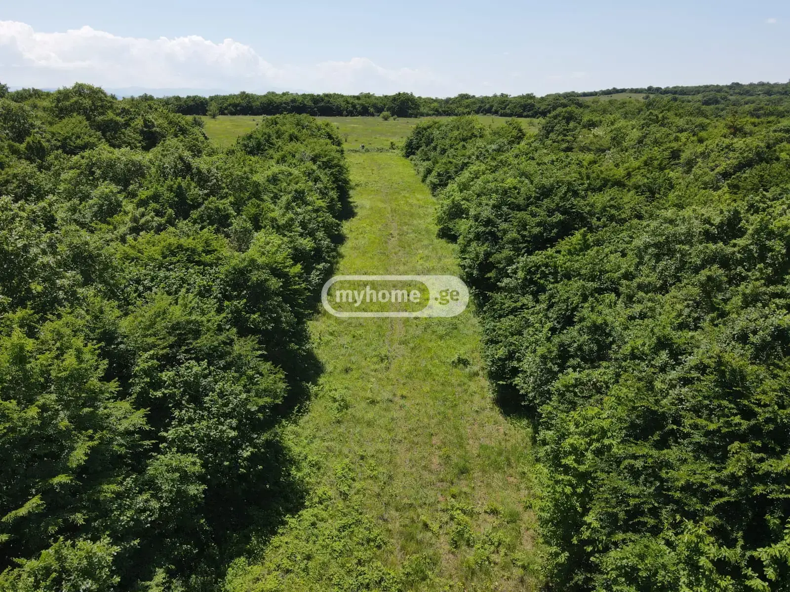 For Sale Sasoplo-Sameurneo Land Plot Mtskhetis Munitsipalitetshi view 11