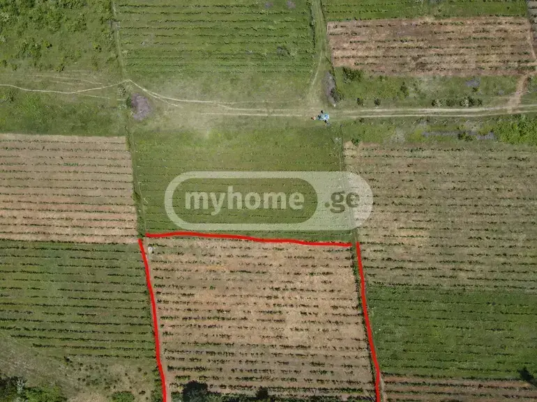 For Sale Sasoplo-Sameurneo Land Plot Mtskhetis Munitsipalitetshi view 5
