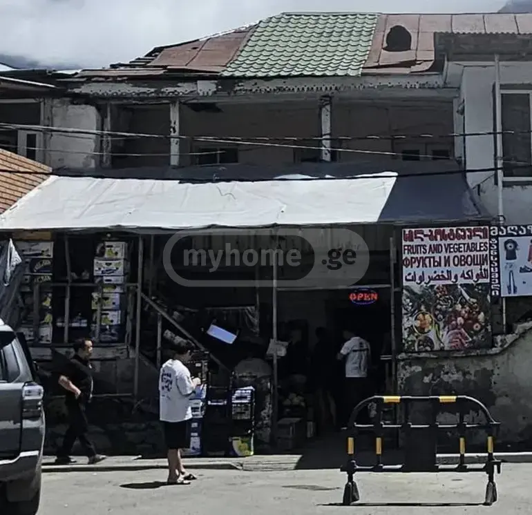 For Sale Universaluri Commercial Space Qazbegshi view 2