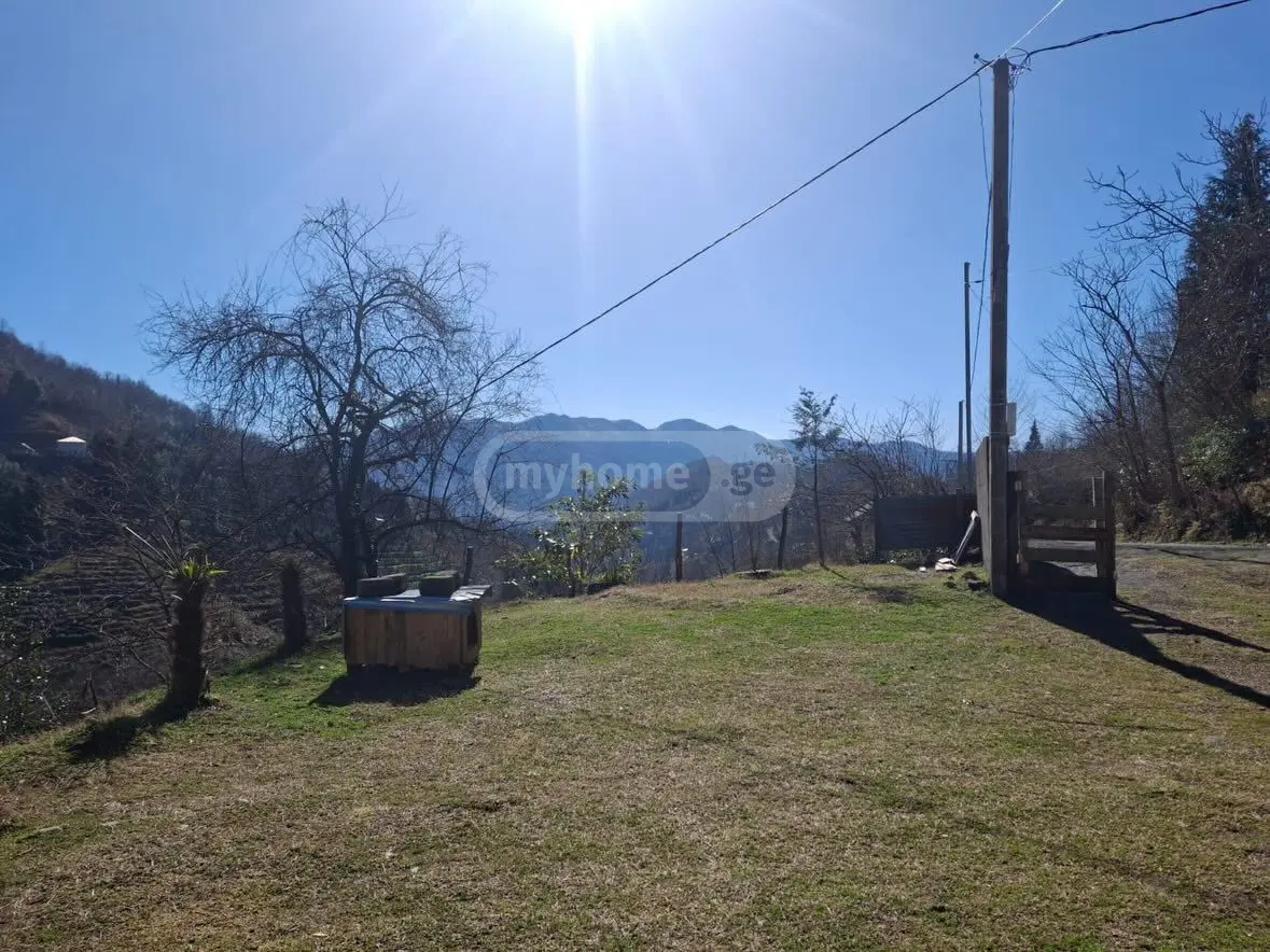 For Sale Ara Sasoplo-Sameurneo Land Plot Khelvachaurshi view 9