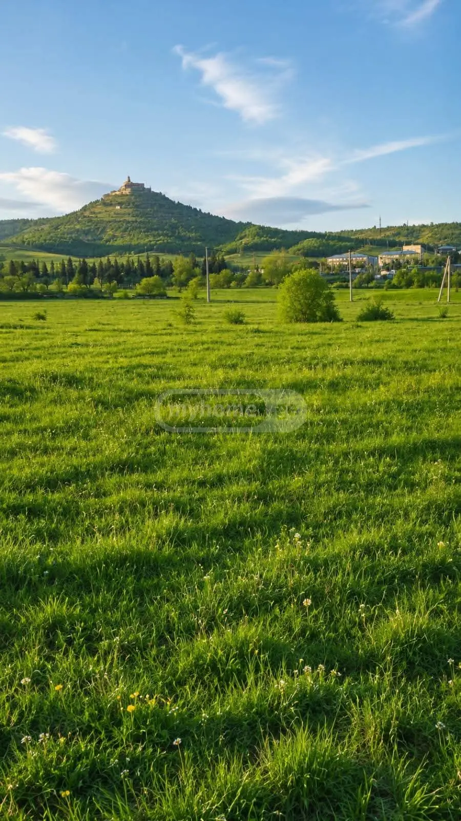 For Sale Sasoplo-Sameurneo Land Plot Gardabnis Munitsipalitetshi view 2