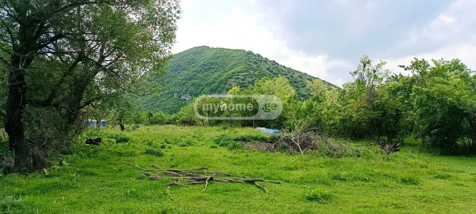 Продажа Земля / участок в Kaspis Munitsipalitetshi view 1