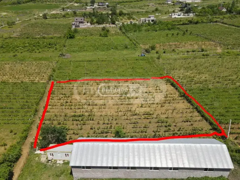 For Sale Sasoplo-Sameurneo Land Plot Mtskhetis Munitsipalitetshi view 2