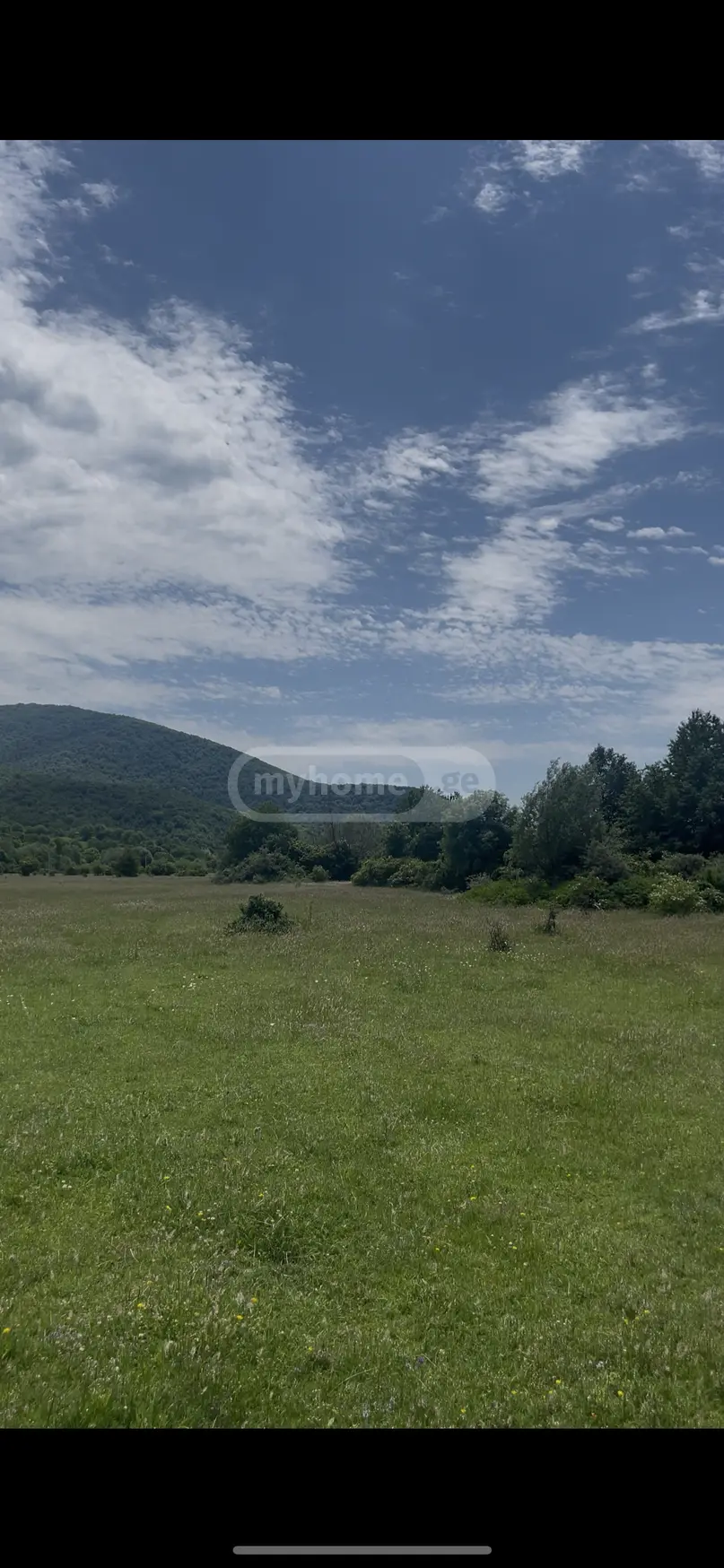 For Sale Sasoplo-Sameurneo Land Plot Tianetis Munitsipalitetshi view 3