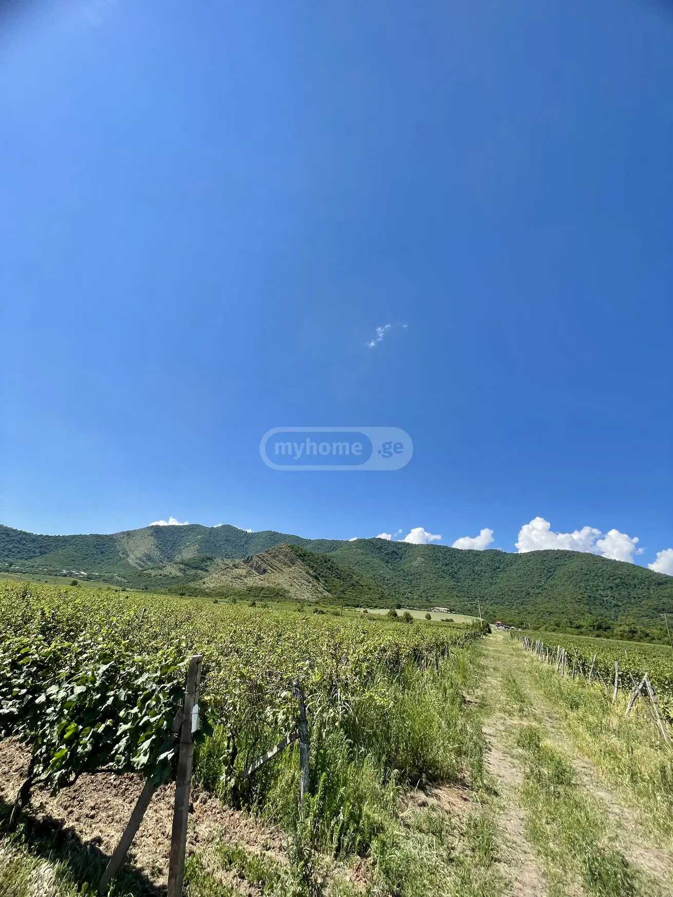 For Sale Sasoplo-Sameurneo Land Plot Qvarlis Munitsipalitetshi view 1