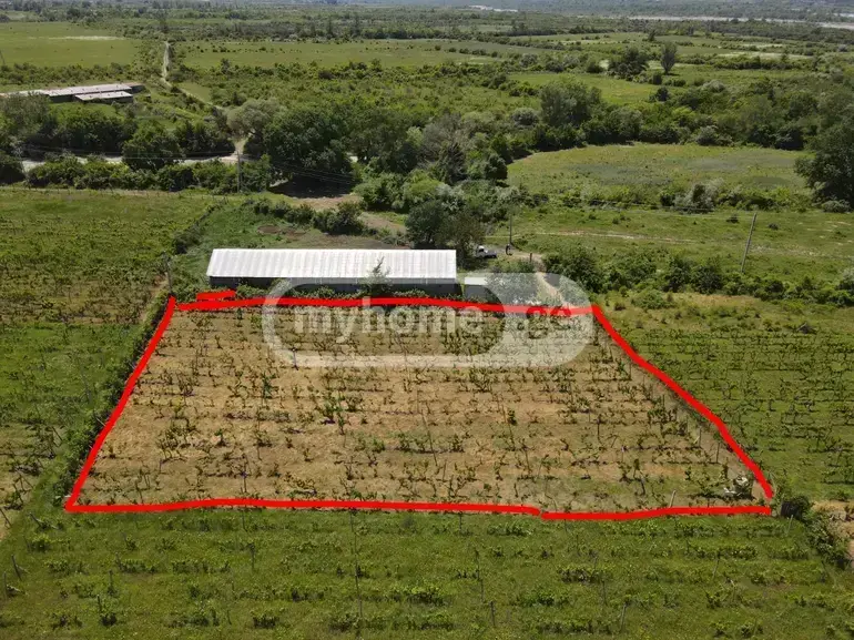 For Sale Sasoplo-Sameurneo Land Plot Mtskhetis Munitsipalitetshi view 4