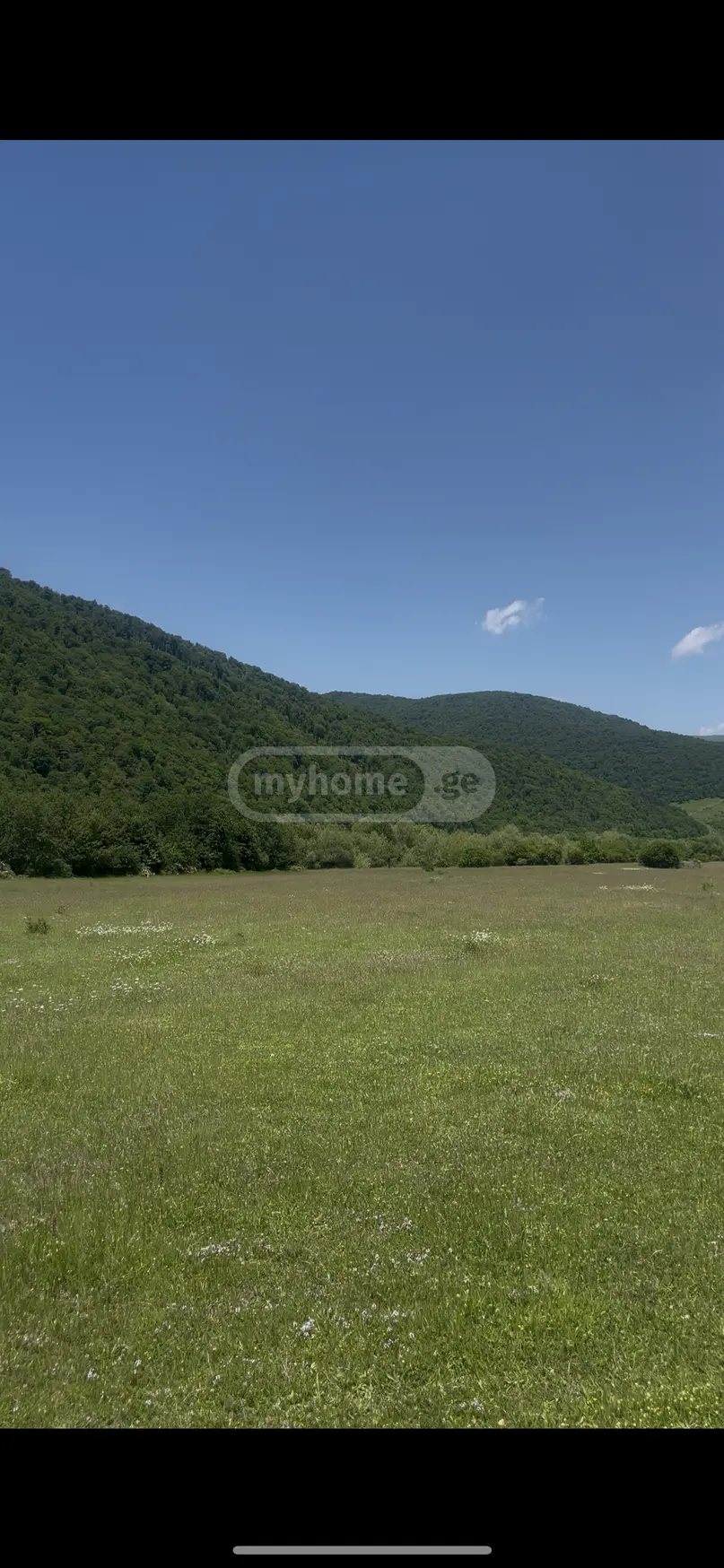 For Sale Sasoplo-Sameurneo Land Plot Tianetis Munitsipalitetshi view 2