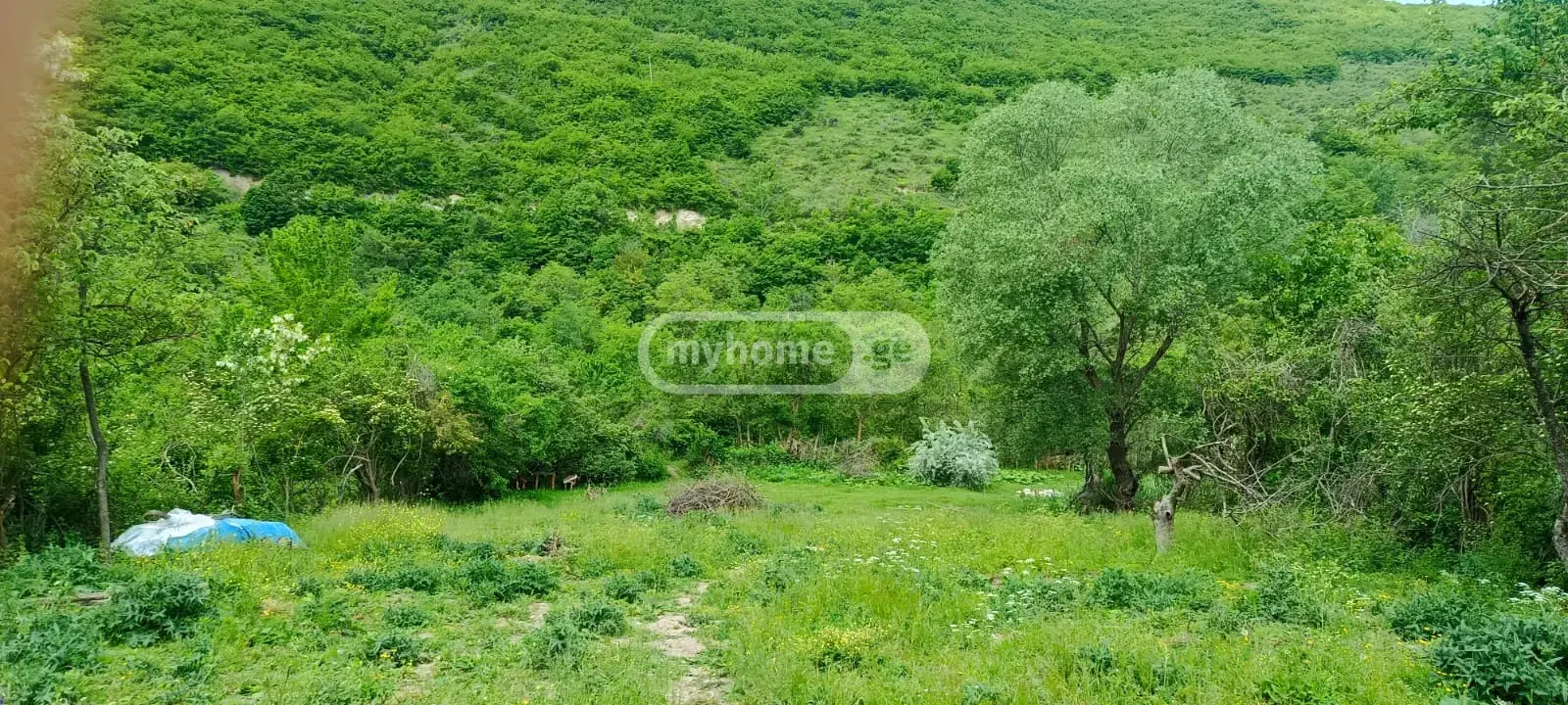 Продажа Земля / участок в Kaspis Munitsipalitetshi view 5