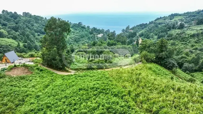 Продажа Земля / участок в Khelvachauris Munitsipalitetshi view 2