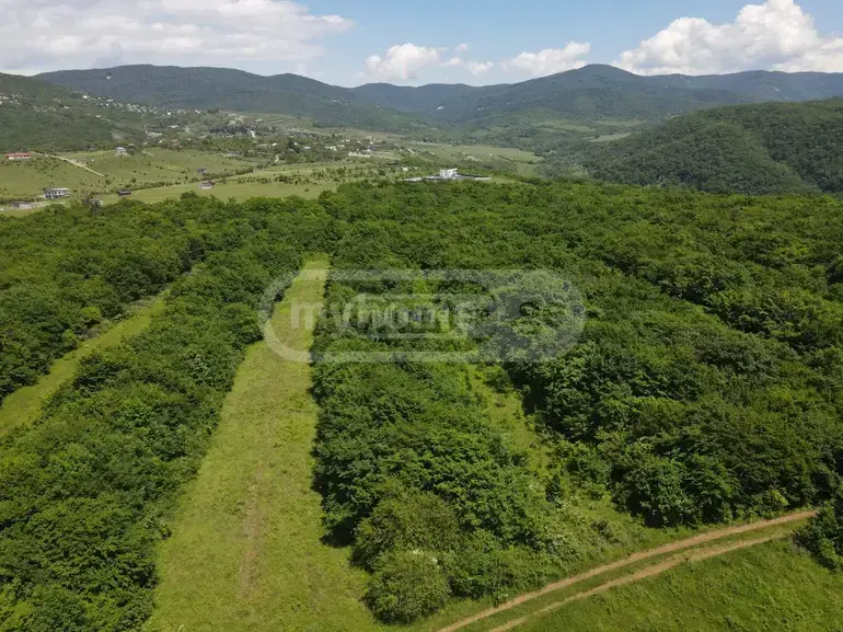 For Sale Sasoplo-Sameurneo Land Plot Mtskhetis Munitsipalitetshi view 12