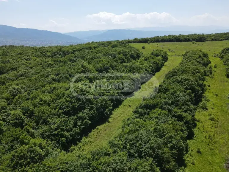 For Sale Sasoplo-Sameurneo Land Plot Mtskhetis Munitsipalitetshi view 8