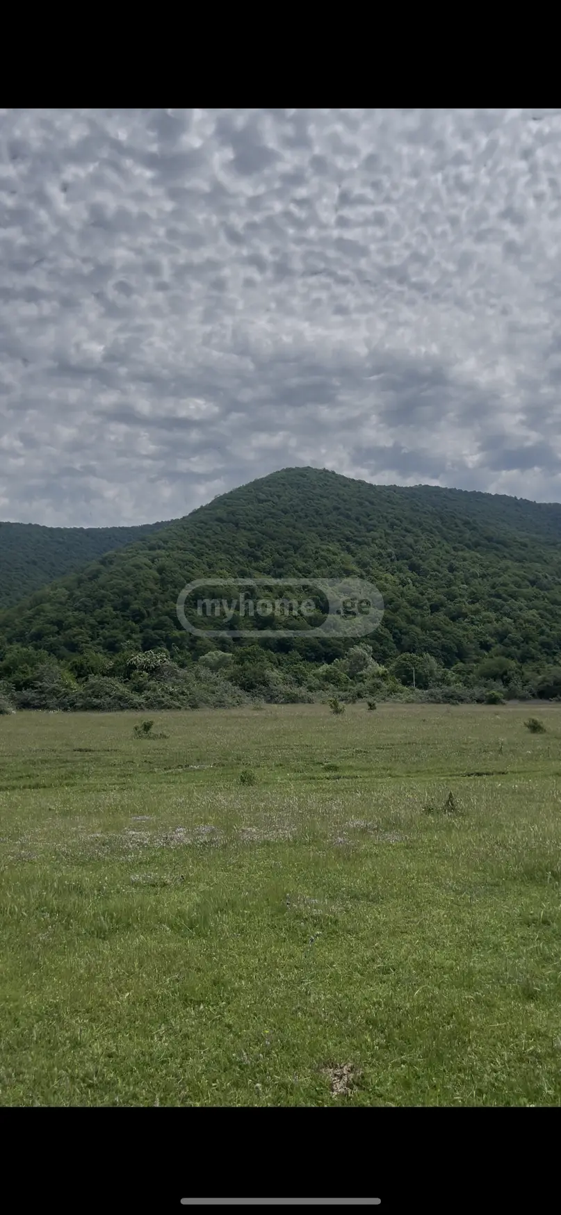 For Sale Sasoplo-Sameurneo Land Plot Tianetis Munitsipalitetshi view 5