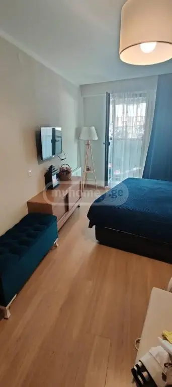 For Sale 1 Room Apartment Bakurianshi, 11 of 12