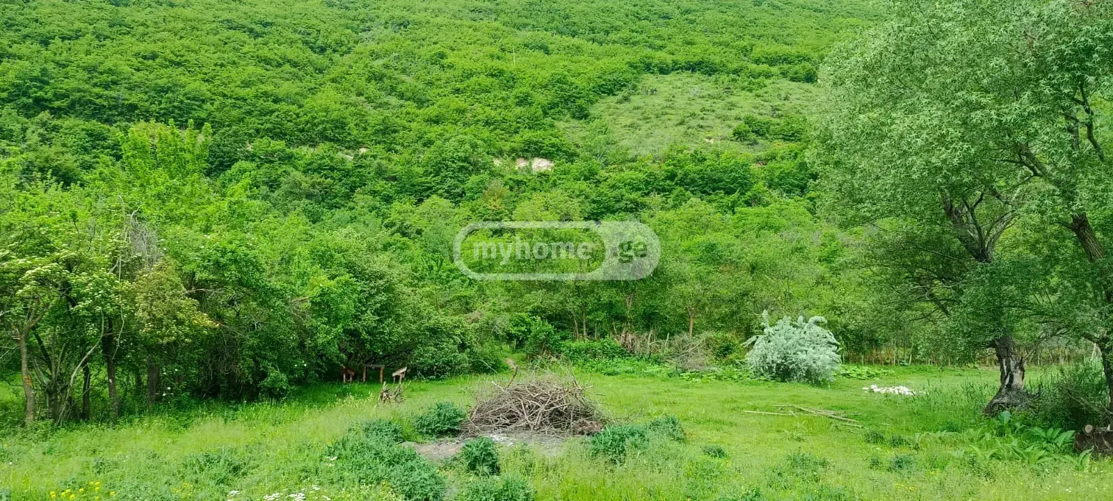 Продажа Земля / участок в Kaspis Munitsipalitetshi view 6
