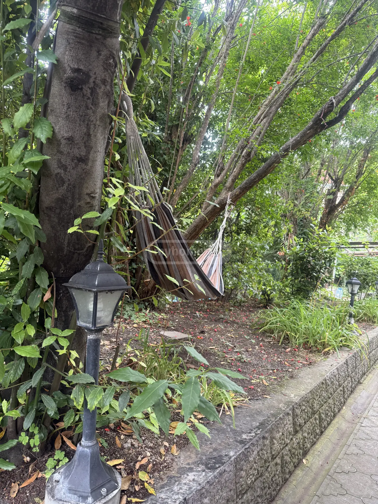 For Rent 3 Room Private House, 12 of 12