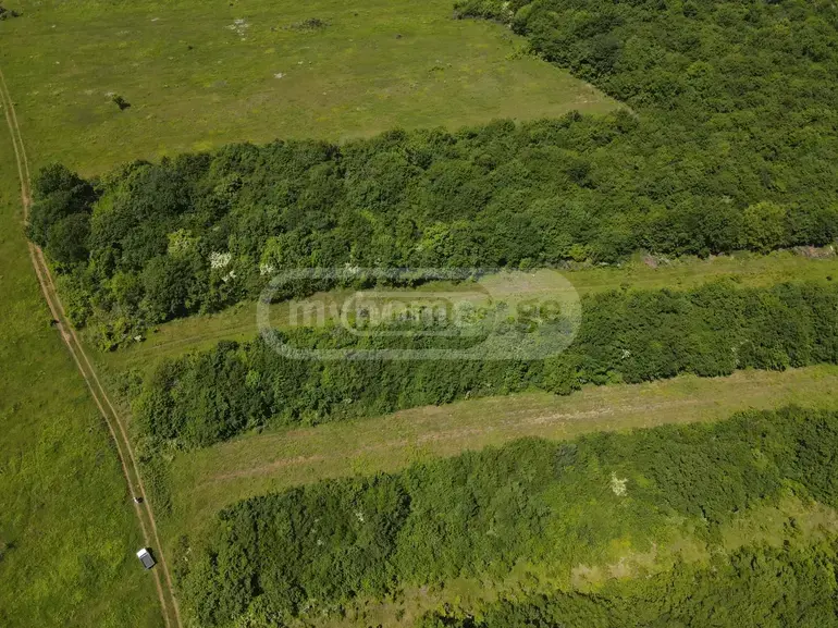 For Sale Sasoplo-Sameurneo Land Plot Mtskhetis Munitsipalitetshi view 13