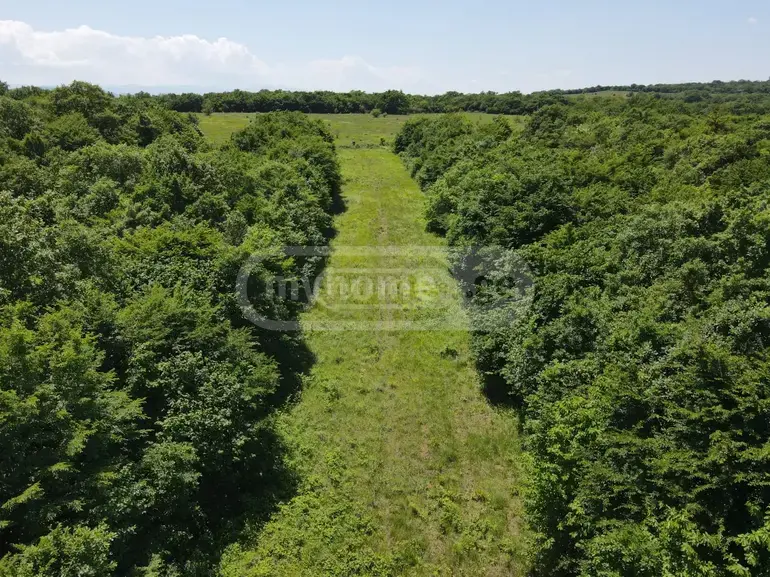 For Sale Sasoplo-Sameurneo Land Plot Mtskhetis Munitsipalitetshi view 11