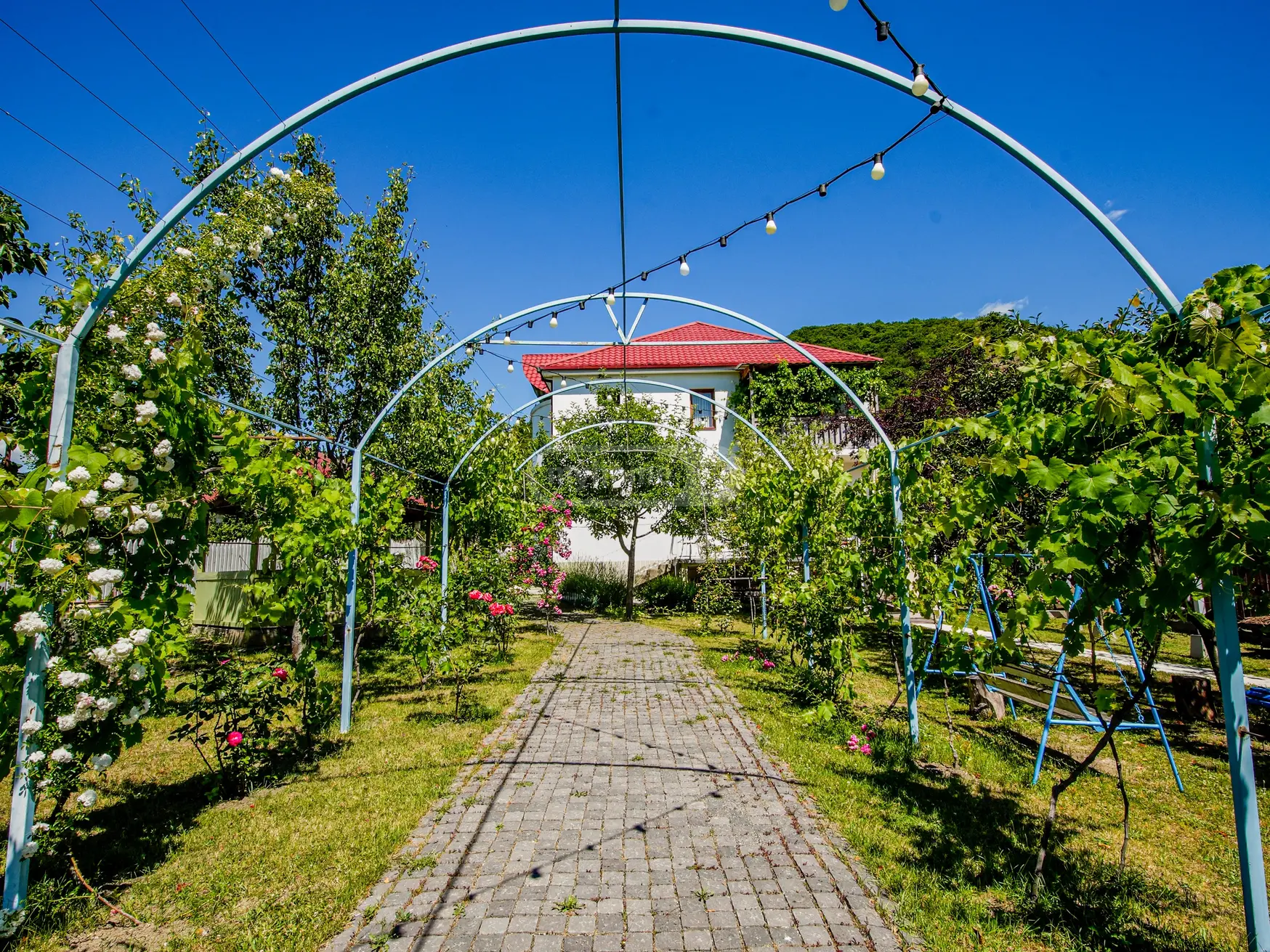For Sale Mtliani Shenoba Commercial Space Dushetis Munitsipalitetshi view 6