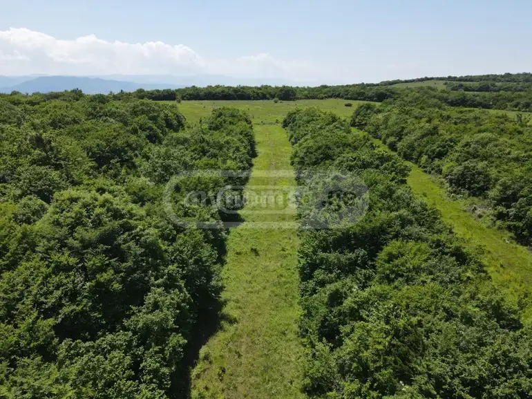 For Sale Sasoplo-Sameurneo Land Plot Mtskhetis Munitsipalitetshi view 10