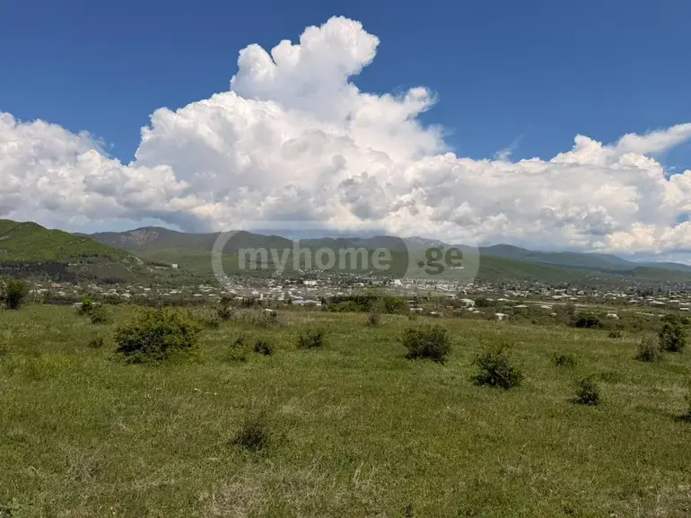 იყიდება მიწა / ნაკვეთი Sagarejos Munitsipalitetshiში view 3