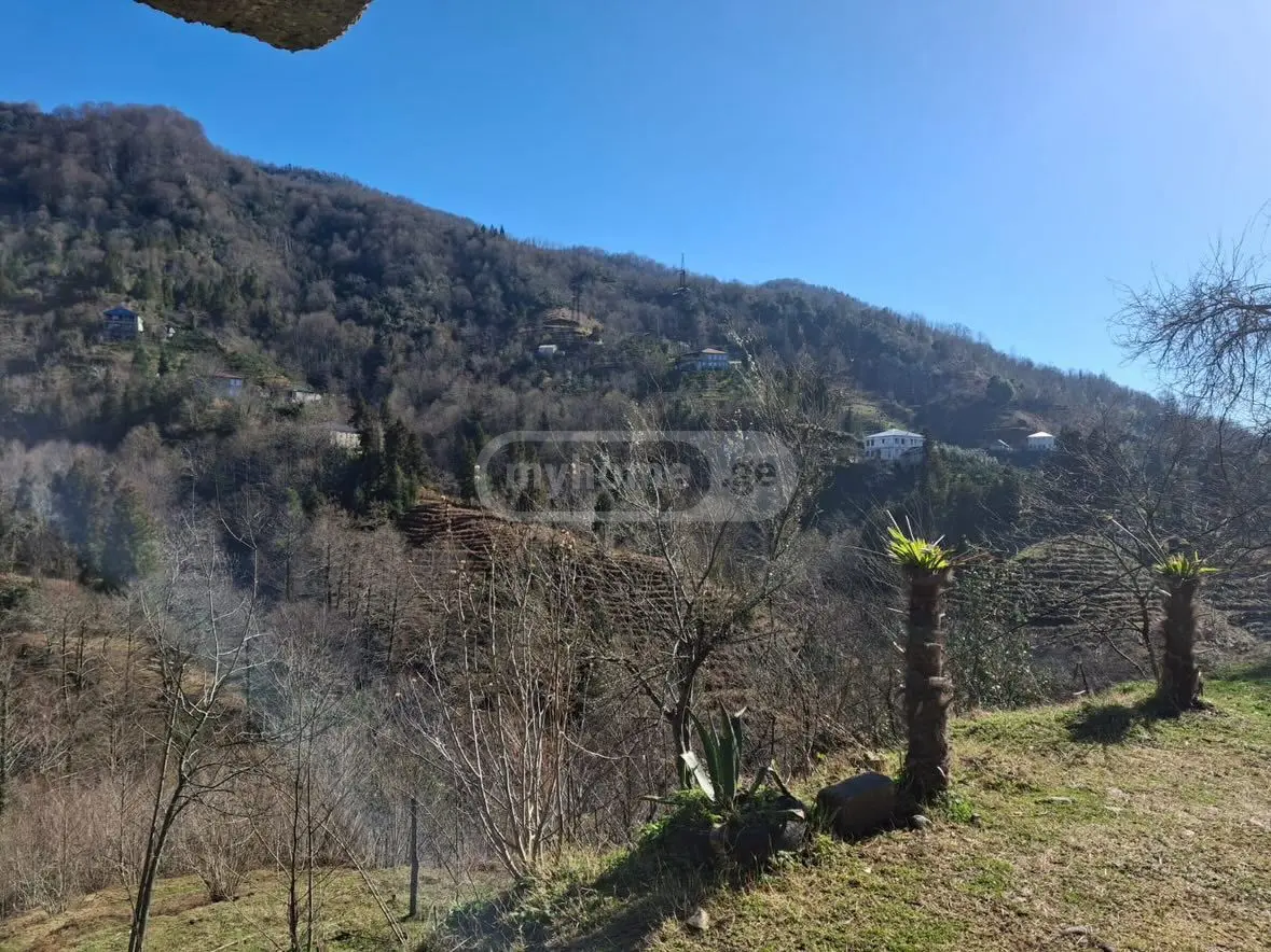 For Sale Ara Sasoplo-Sameurneo Land Plot Khelvachaurshi view 7