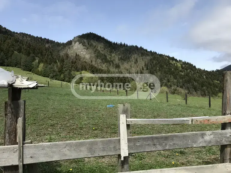 For Sale Sasoplo-Sameurneo Land Plot Borjomshi view 1