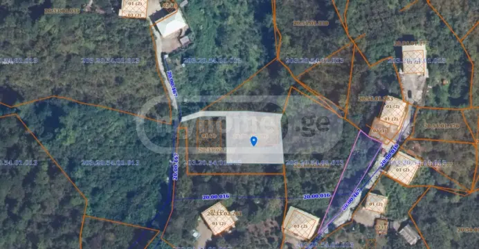 For Sale Sasoplo-Sameurneo Land Plot Kobuletis Munitsipalitetshi view 5